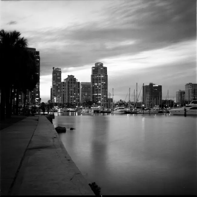 St Petersburg Marina #1